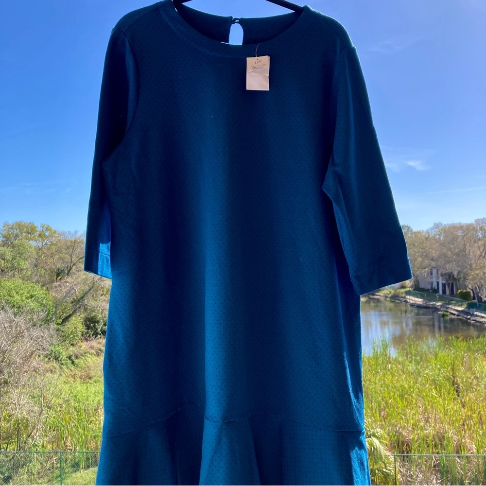J. Jill Blue Polka Dot Dress